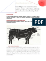 Unidad Tematica I Unidad 3 Tema 1 Exteriores Comparada PDF