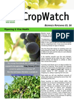 Adelaide Hills Crop Watch 120210