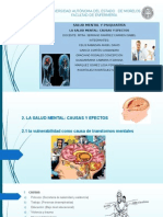 La Salud Mental, Causas y Efectos