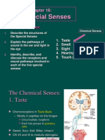 Physiology of The Special Senses