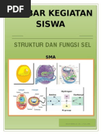 Lks Materi Sel