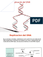 Replicacion - Reparacion DNA