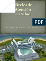 7 Niveles de Atención en Salud PDF