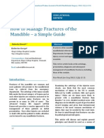 Champy PDF