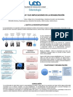 Neuroplasticidad y Sus Implicaciones en La Rehabilitación