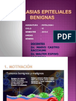 09 Lab. Patología - Neoplasias Epiteliales Benignas