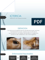 ICTERICIA