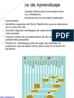 Características Bilaterales