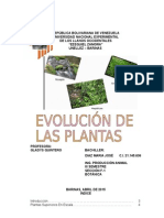 Evolución de Las Plantas