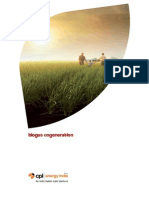 Biogas Cogenerazione - India PDF