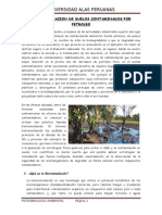 Biorremediacion de Suelos Contaminados Por Petroleo