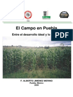 ElcampoenPuebla PDF