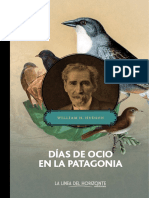 Días de Ocio en La Patagonia - Muestra