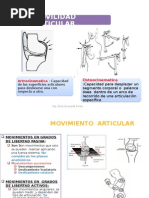 Movilidad Articular - Fisioterapia