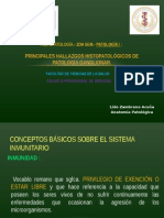 Uss-2015-II. - Patologia I. - Inmunopatologia (10 Setiembre 2015)