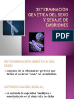 Determinacion Genetica Del Sexo y Sexaje de Embriones