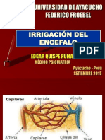 Irrigación Cerebral