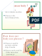 What Is Human Body ?: Human Body Is Like A Complex Machine. Glucose Is The Fuel of Human Body