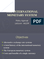 The International Monetary System