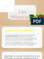  Minerales Biologia