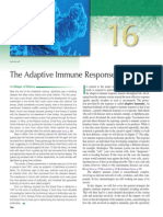 Adaptive Immunity