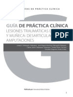 Guía de Práctica Clínica de Las Lesiones Traumáticas de La Mano y Muñeca. Desarticulaciones y Amputaciones de Muñeca y Mano