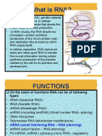 What Is RNA?