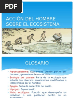 Acción Del Hombre Sobre El Ecosistema