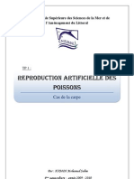 Reproduction Artificielle Des Poissons: Cas de La Carpe