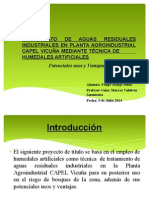 Humedales Artificiales para Tratamiento de Aguas Residuales Industriales