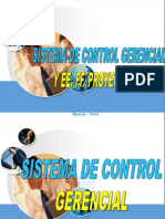 Control Gerencial y Ee - FF Proyectados