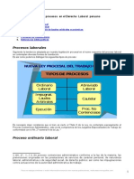 Tipos Procesos Derecho Laboral Peruano