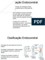 Osteologia