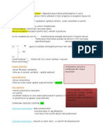 Potential Postsinaptic Excitator