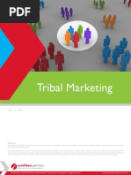 Accelteon Tribal Marketing