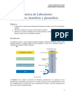 Ósmosis, Hemólisis y Plasmólisis