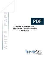 Denial of Service and Distributed Denial of Service Protection