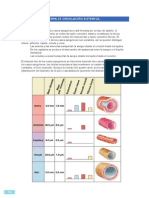 Fisiologia Del Sistema Cardiaco