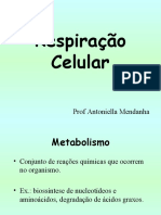 Respiração Aeróbia e Fermentação