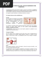 Anatomia y Fisiologia Del Aparato Reproductor Femenino