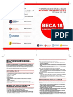 Folleto Informativo-Beca 18 PDF