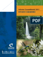 Informe Geoambiental Carabobo