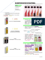 Tests For Identification of Bacteria ASS