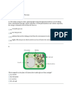 Unit 6 & 7 Cell Energy