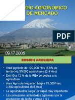 Estudio Agronomico y de Mercado