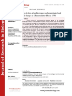 Anesthetic Efficacy of Clove Oil and Its Impact On Hematological and Biochemical Changes in Channa Striatus (Bloch, 1793)