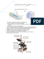 Examen Del Tema 2 de Biología y Geología de 1ºESO: Microorganismos y Hongos (Opción B)