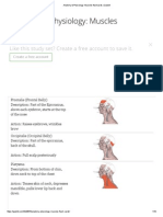 Anatomy & Physiology Muscles Flashcards - Quizlet