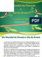 Dia Mundial Da Floresta