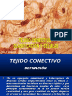 Tejido Conectivo I Células y Clasificacion